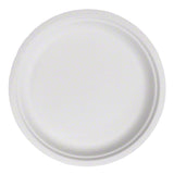 Paper Plates - Heavy Weight - Royal Chinet - 10-1/4"